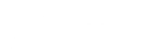 Hollywoodbets